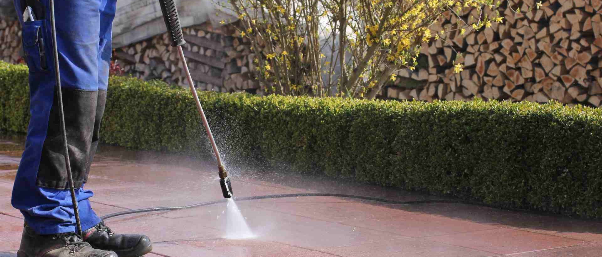 garden maintenance N19